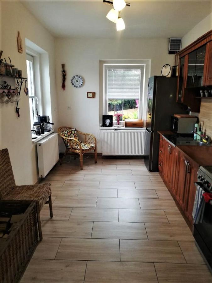 Villa Ubytovani U Rybnicka Arnoltice u Decina Exterior foto