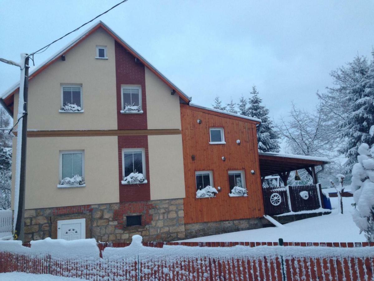 Villa Ubytovani U Rybnicka Arnoltice u Decina Exterior foto