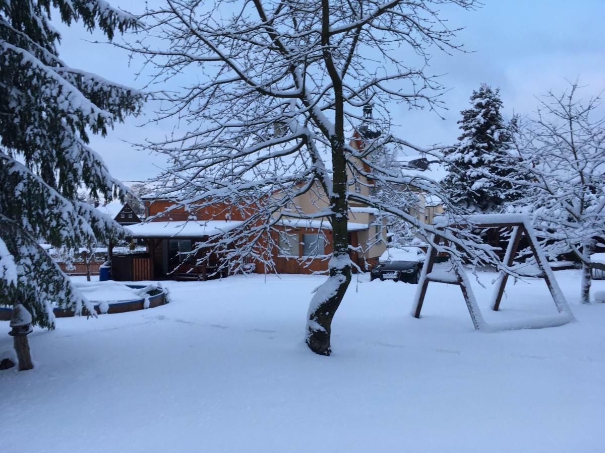 Villa Ubytovani U Rybnicka Arnoltice u Decina Exterior foto